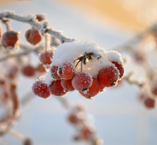 Welcome to MunhallStuff